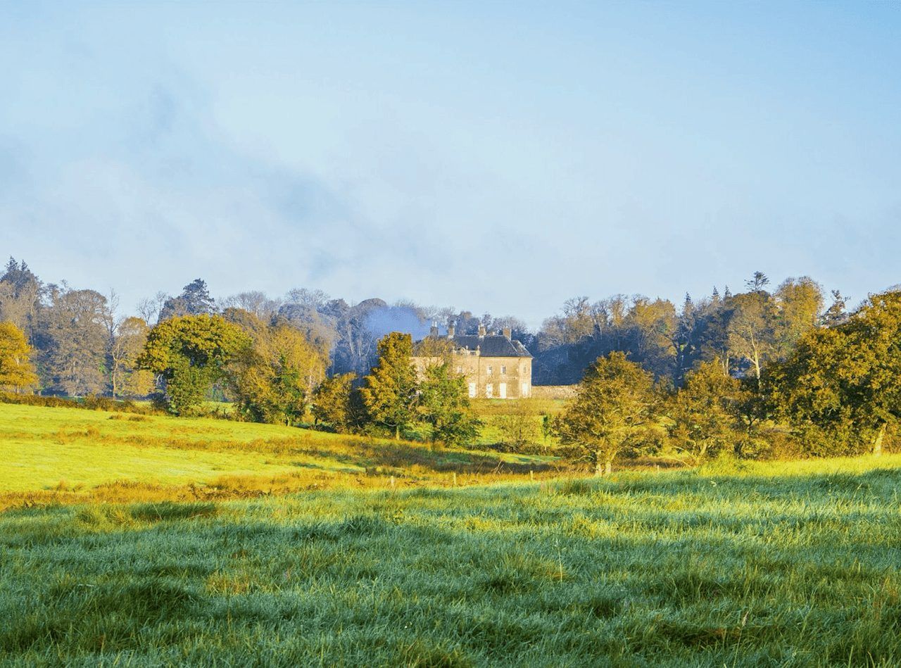 Newhall House across the parkland at misty dawn